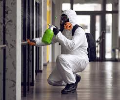 Best Mold Remediation for Vacation Homes  in USA